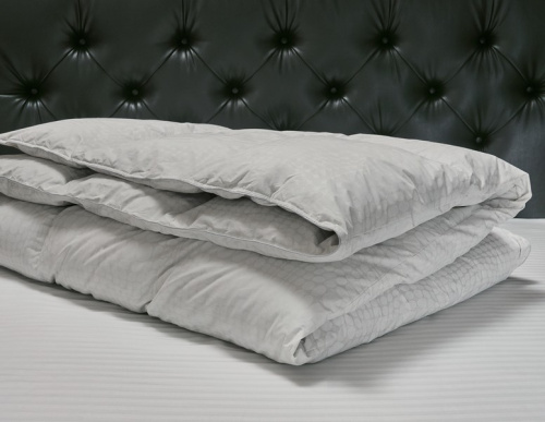 Одеяло стандартное пуховое Шарлота 172х205